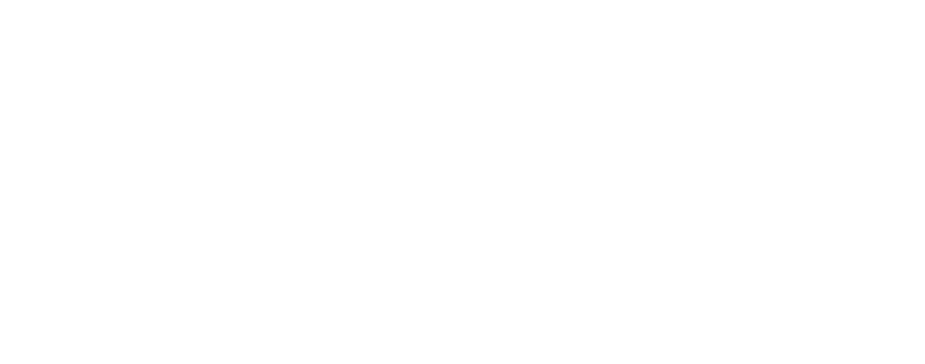 Icono facil y seguro