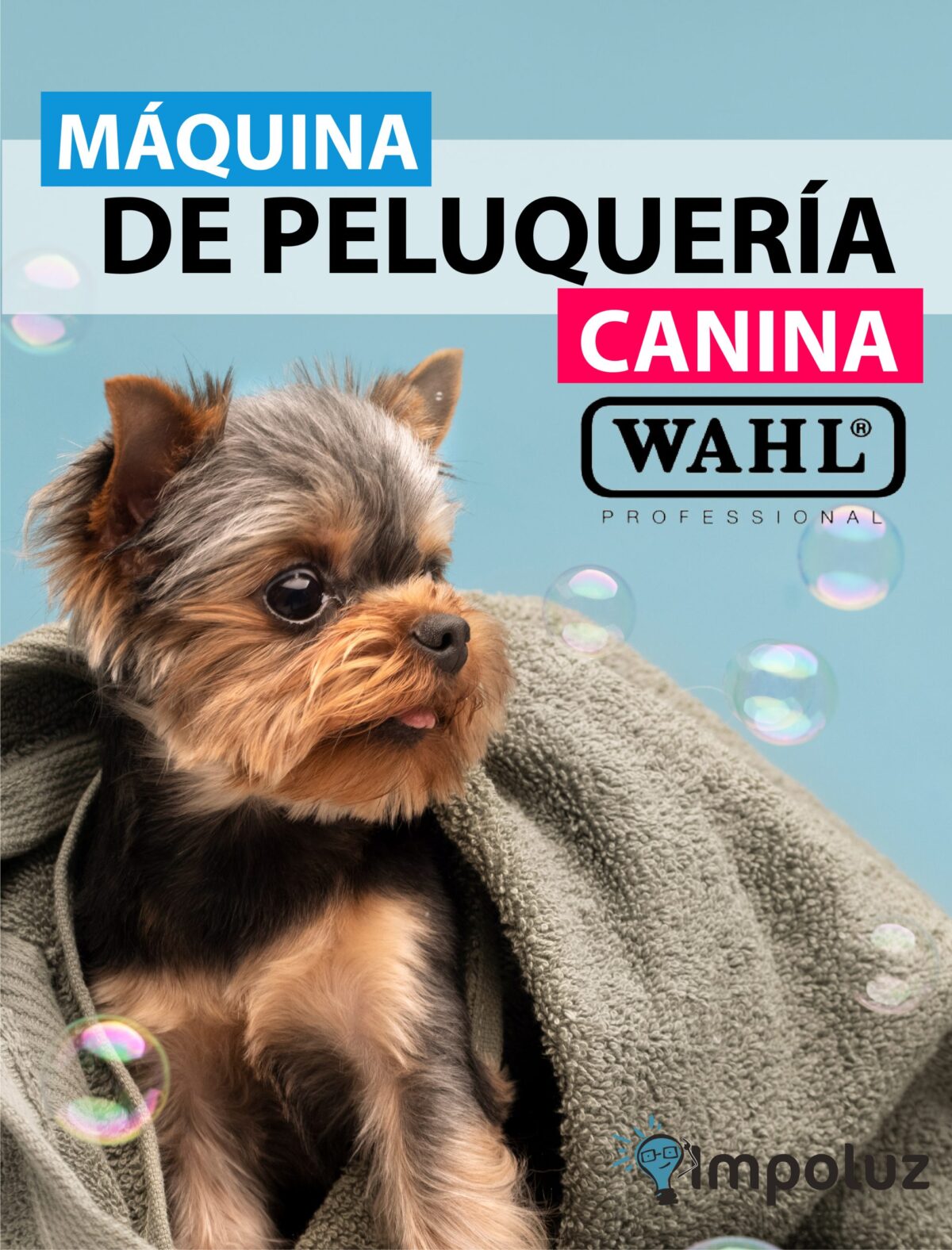 MAQUINA CANINA WAHL 02 scaled MAQUINA CANINA WAHL 02 scaled