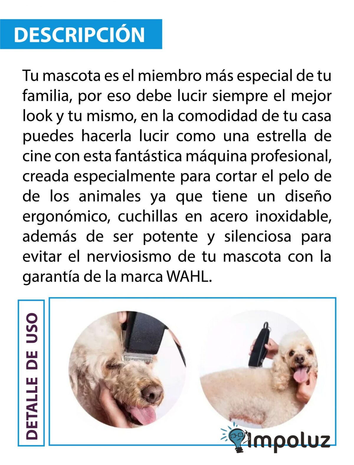 MAQUINA CANINA WAHL 03 scaled MAQUINA CANINA WAHL 03 scaled